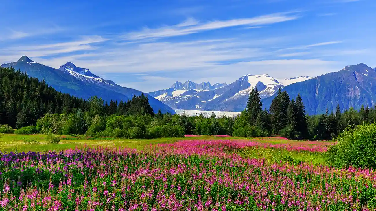 image of Alaska